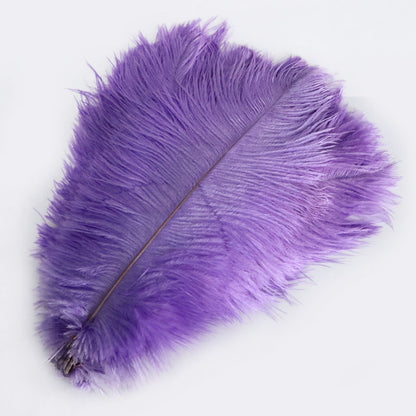 Ostrich Feather Plume 30-35cm SF013A