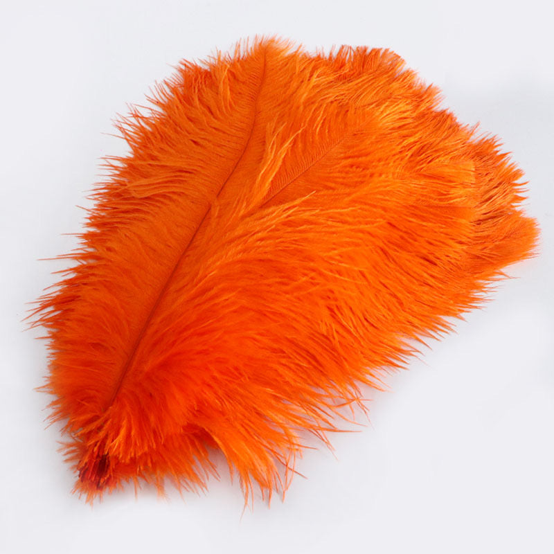Ostrich Feather Plume 30-35cm SF013A
