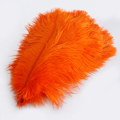 Ostrich Feather Plume 30-35cm SF013A