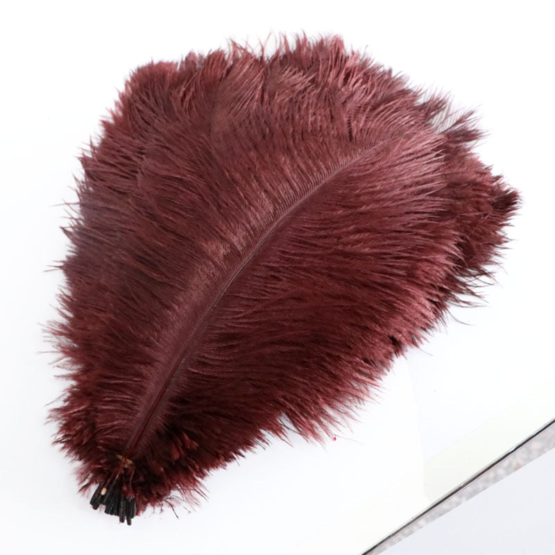 Ostrich Feather Plume 30-35cm SF013A