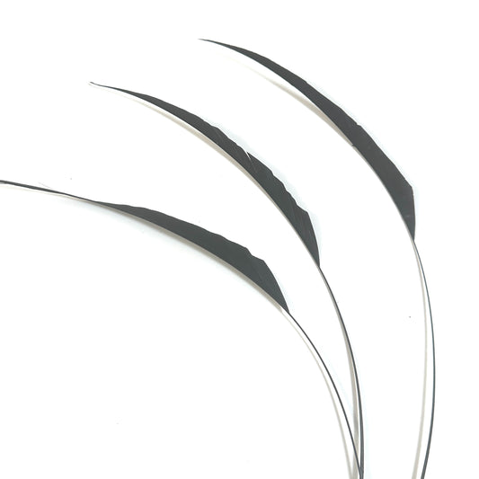 One-side Trimmed Coque Feather -Pack of 10 SFROOSTER10