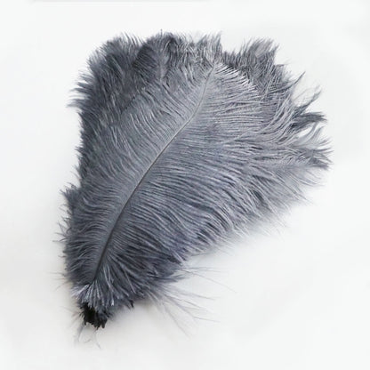 Ostrich Feather Plume 30-35cm SF013A