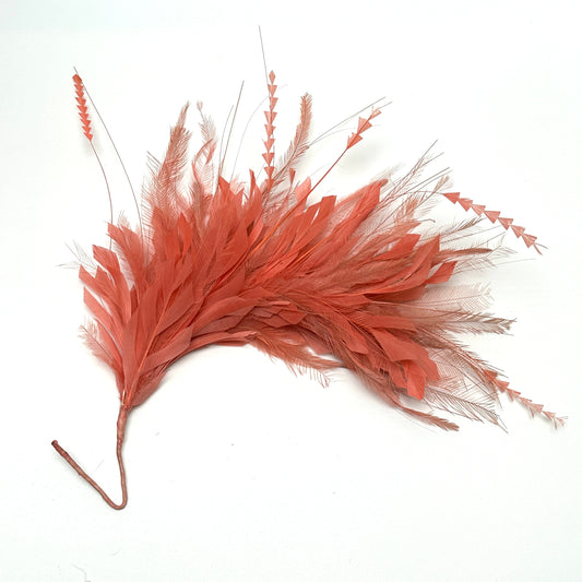 Emu and Zigzag Coque Feather Mount