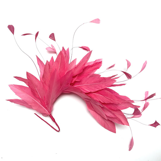 *Sales* Goose and Coque Feather Mount FM304
