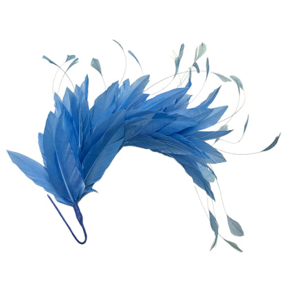 *Sales* Goose and Coque Feather Mount FM304