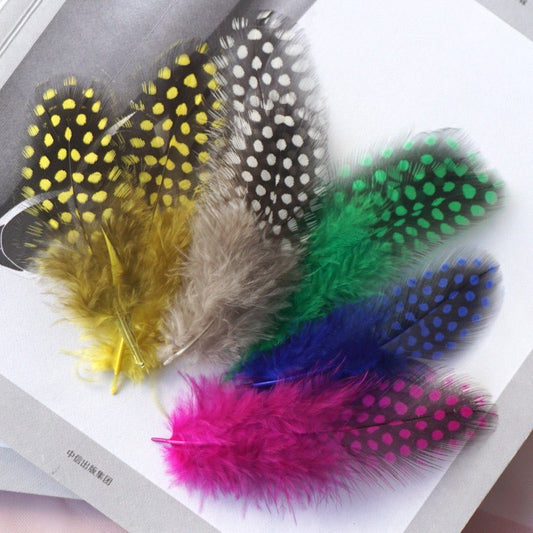 Guinea Hen Plumage Polka Dot Feathers
