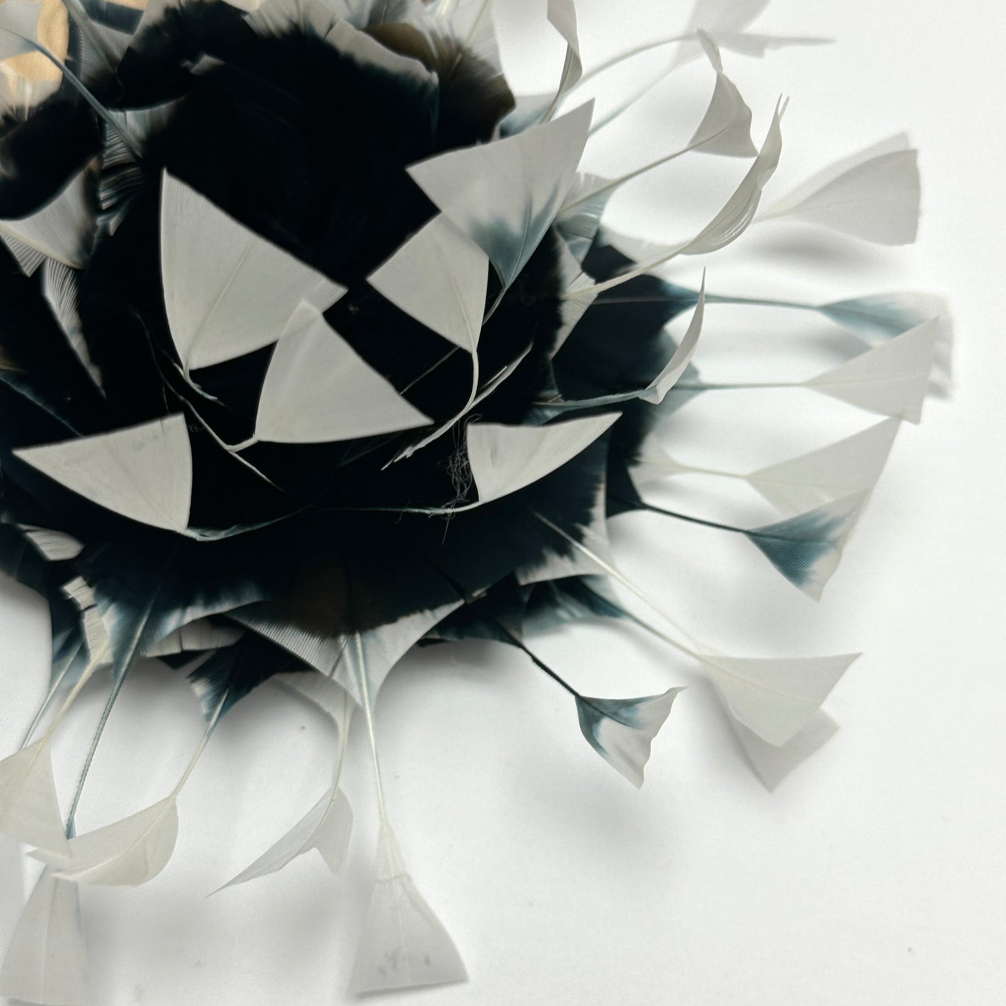 Gradient Art Goose Feather Mount