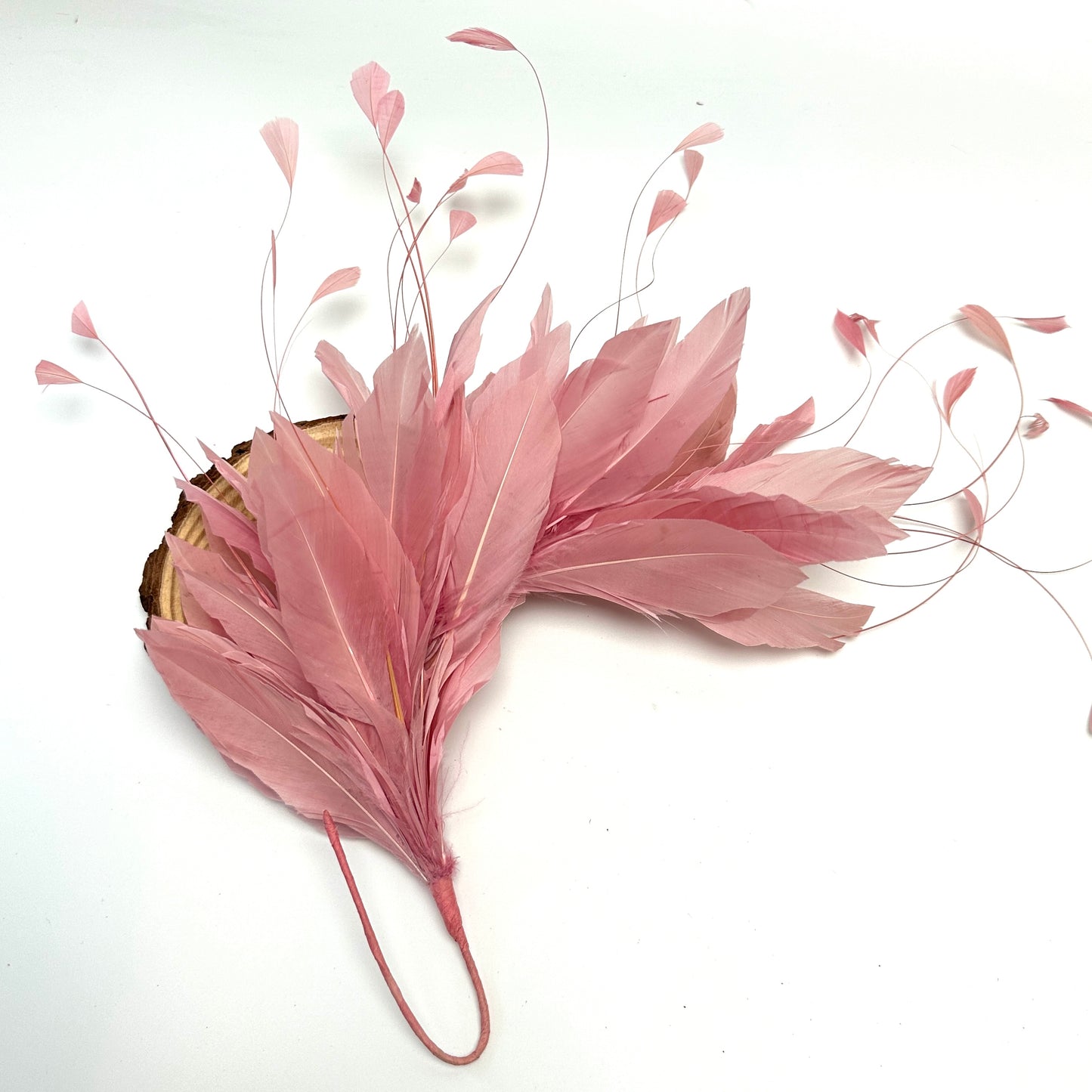 *Sales* Goose and Coque Feather Mount FM304