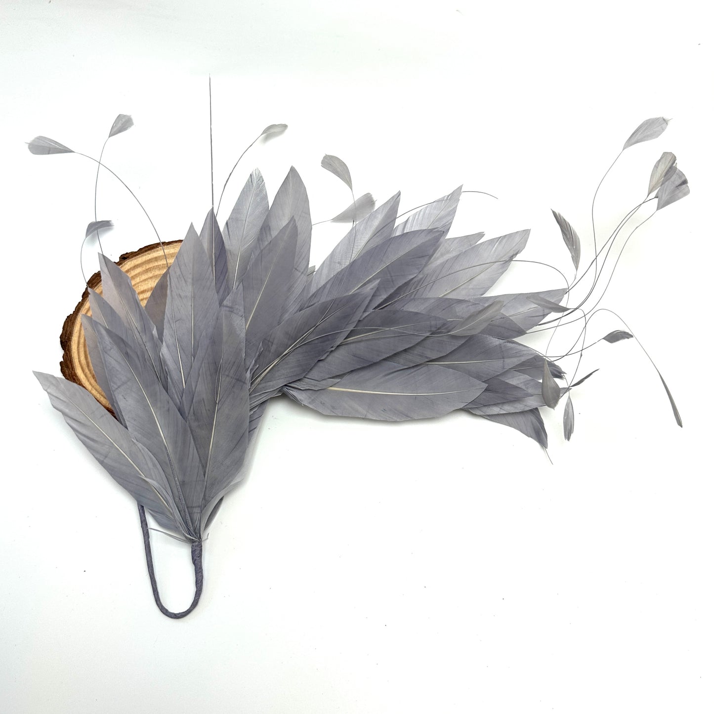 *Sales* Goose and Coque Feather Mount FM304