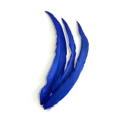 12"-14" Dyed Rooster Coque Tail Feathers- 25 pieces