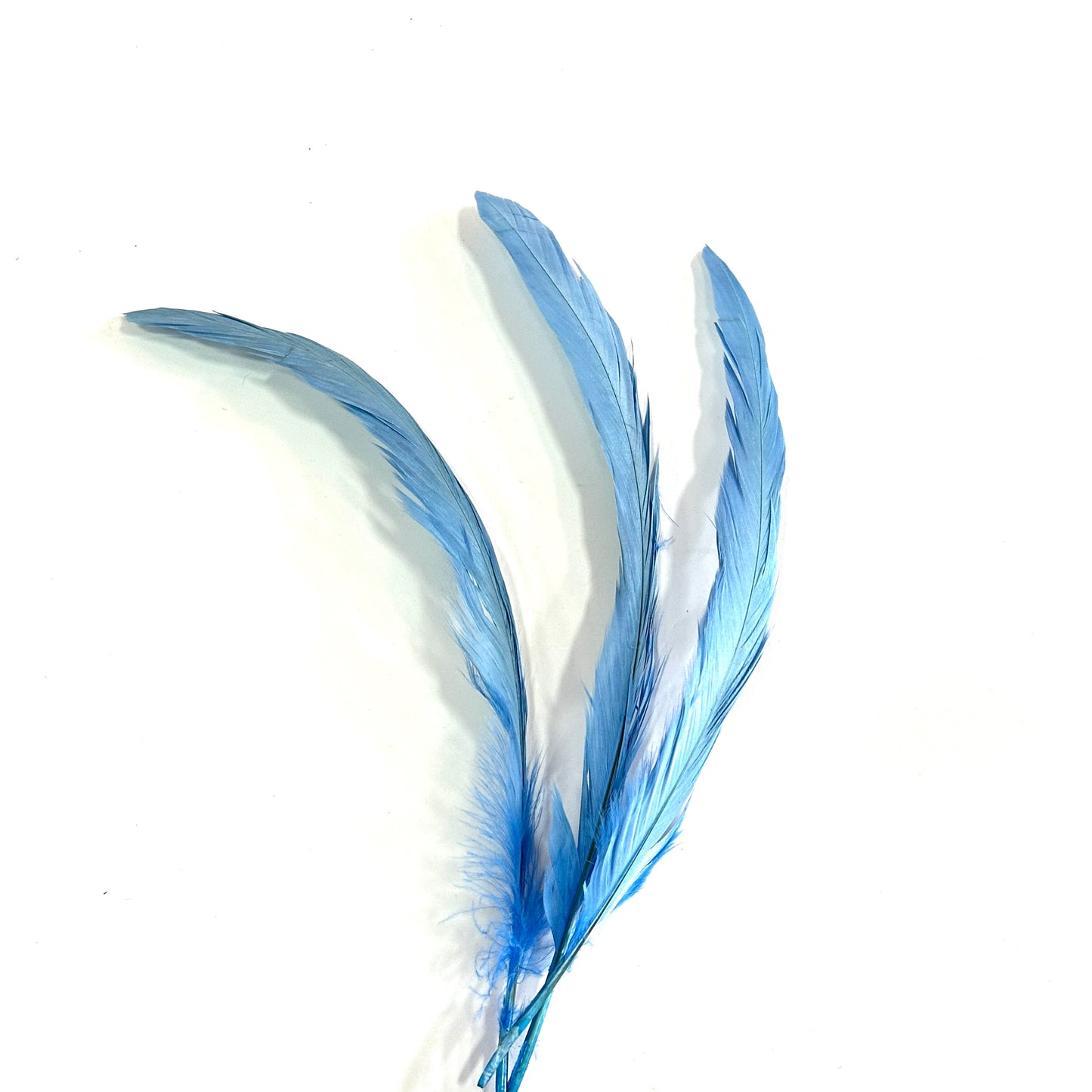 12"-14" Dyed Rooster Coque Tail Feathers- 25 pieces