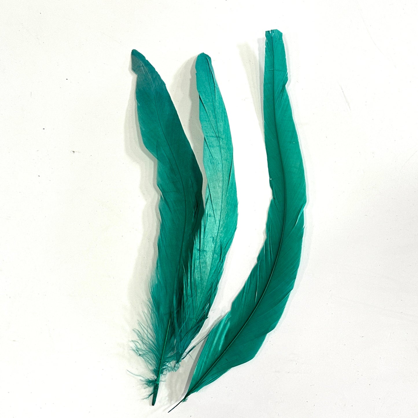 12"-14" Dyed Rooster Coque Tail Feathers- 25 pieces