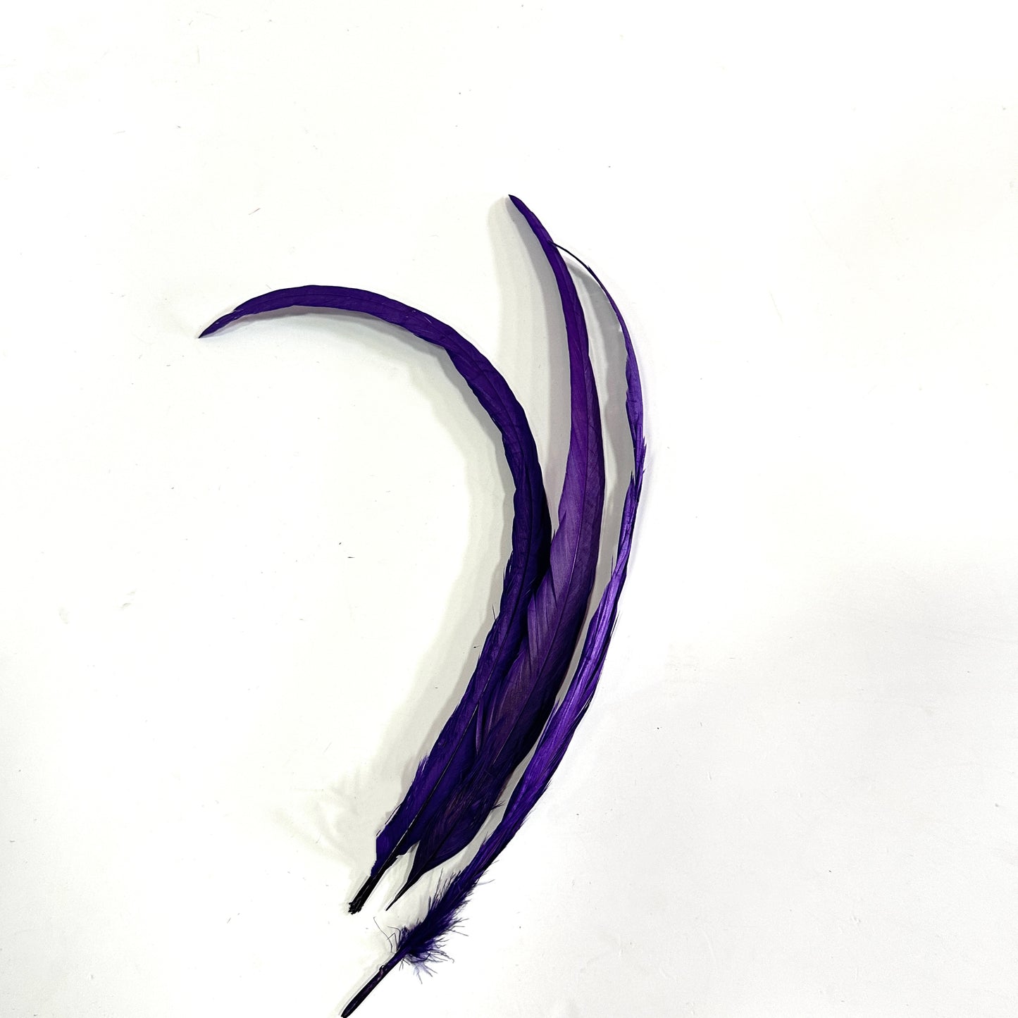 12"-14" Dyed Rooster Coque Tail Feathers- 25 pieces