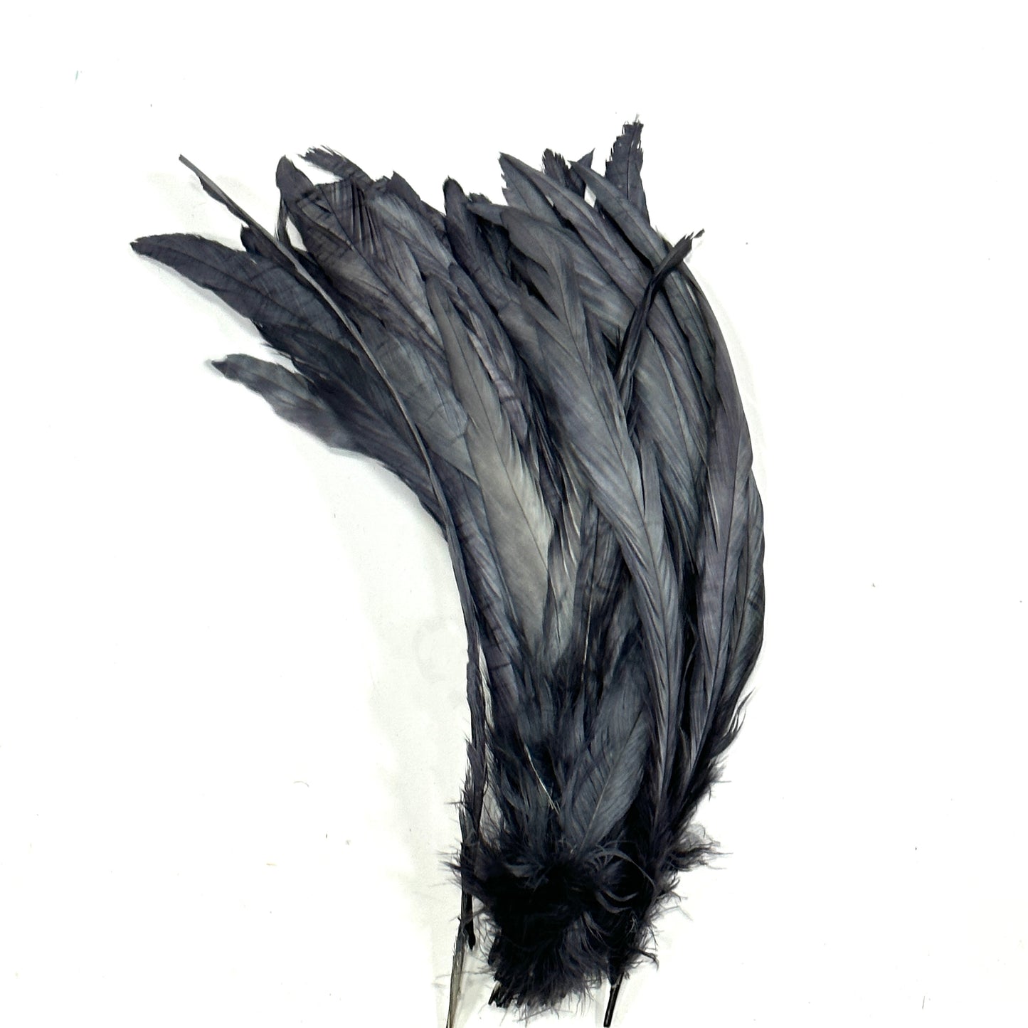 12"-14" Dyed Rooster Coque Tail Feathers- 25 pieces