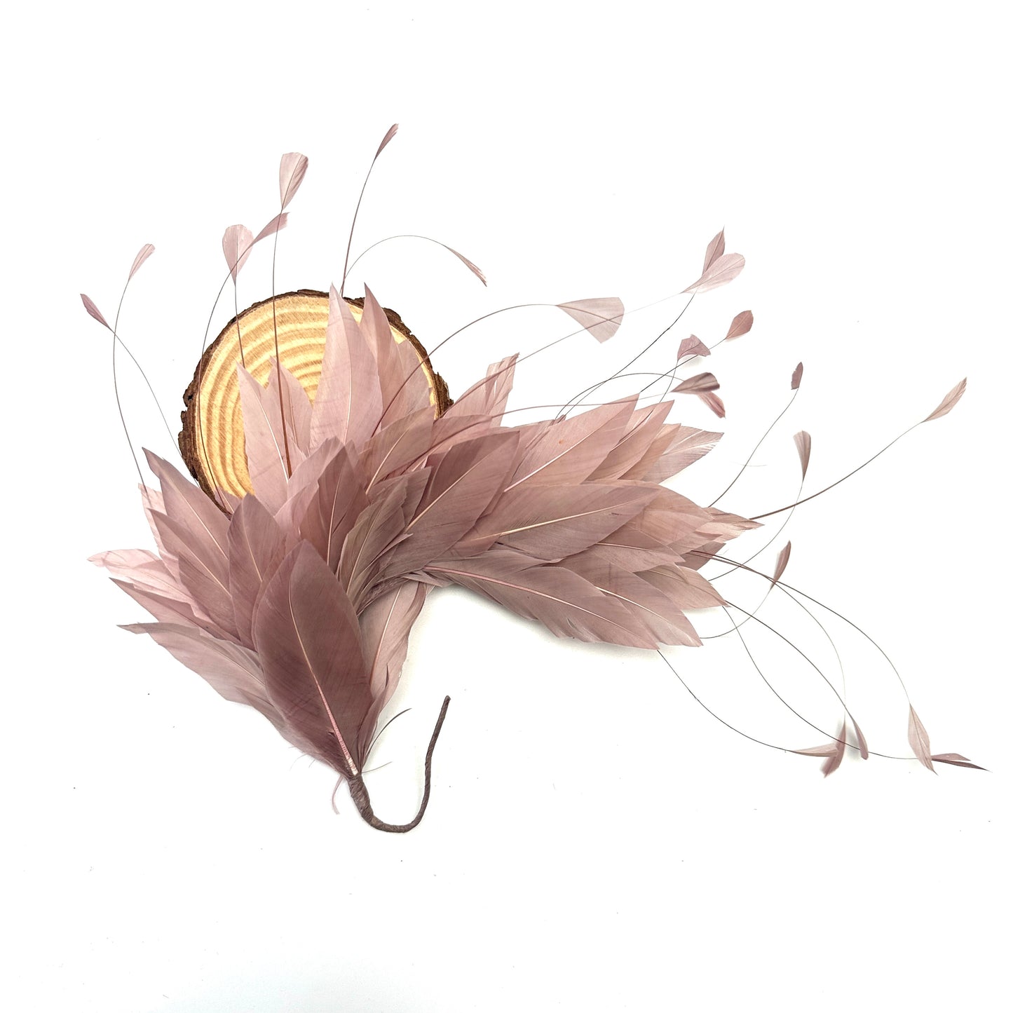 *Sales* Goose and Coque Feather Mount FM304