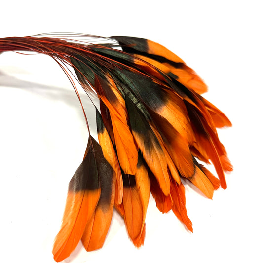 20cm Gradient Dyed Coque Feather - Pack of 5