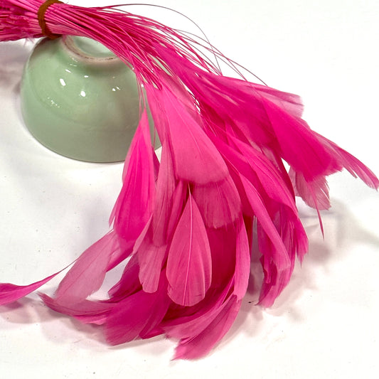 14cm Small Round Tips Coque Feather-Pack of 10