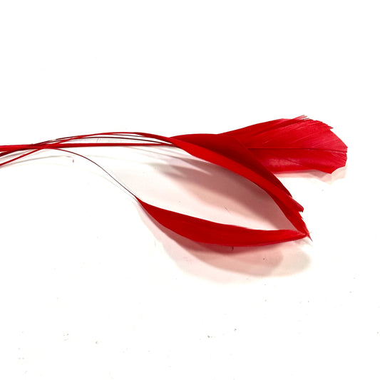 15cm Stripped Coque Feathers - Pack of 10