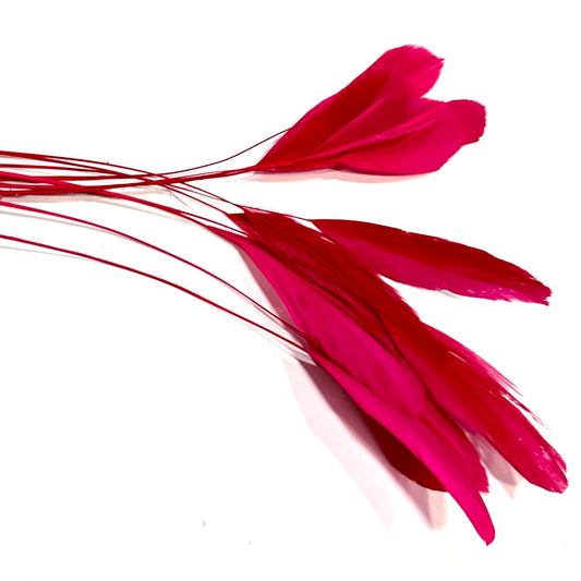 25cm Stripped Coque Feathers - Pack of 10