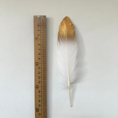 Gold Dipped Goose Feather-Pack of 10