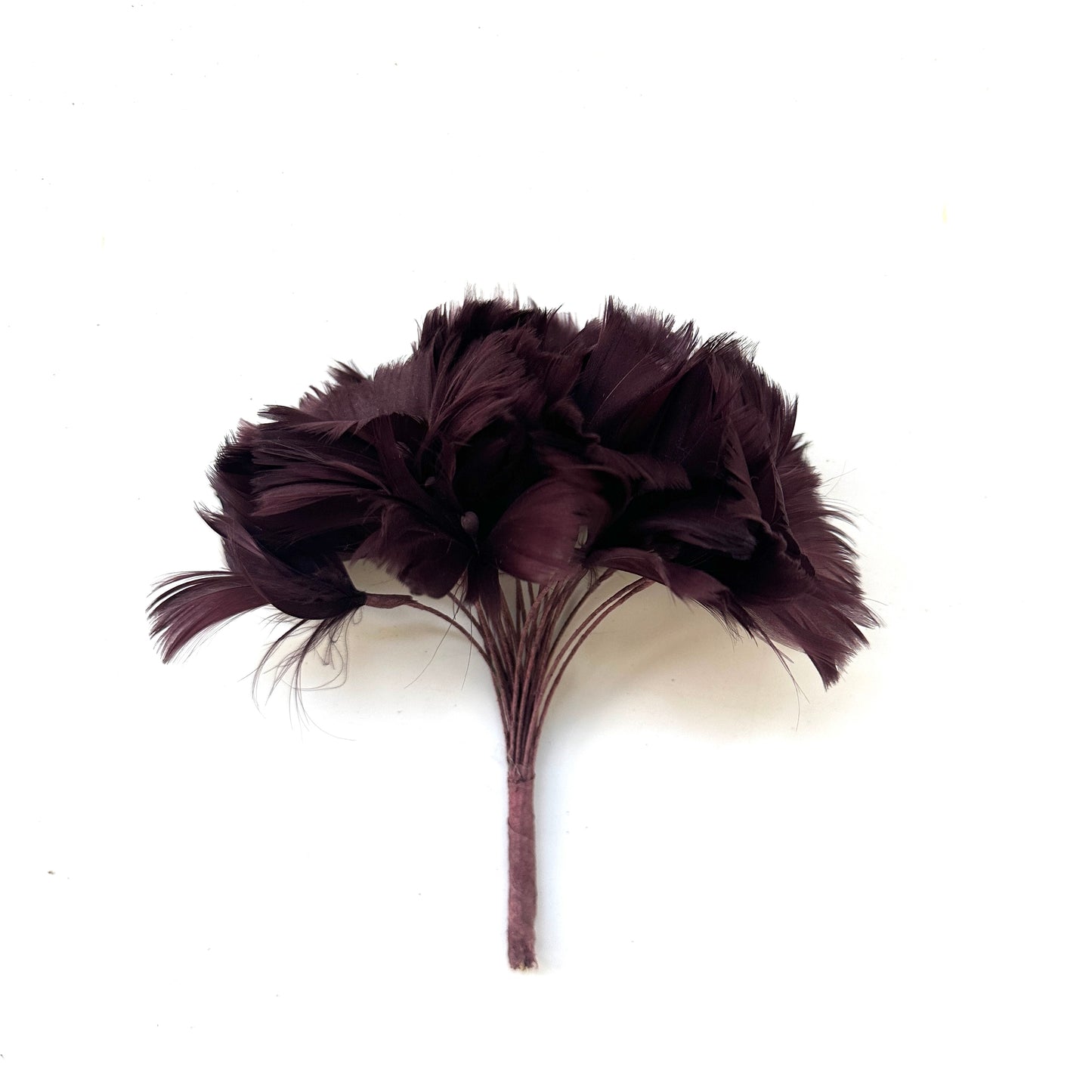 Goose Feather Bundle Mount DS260522