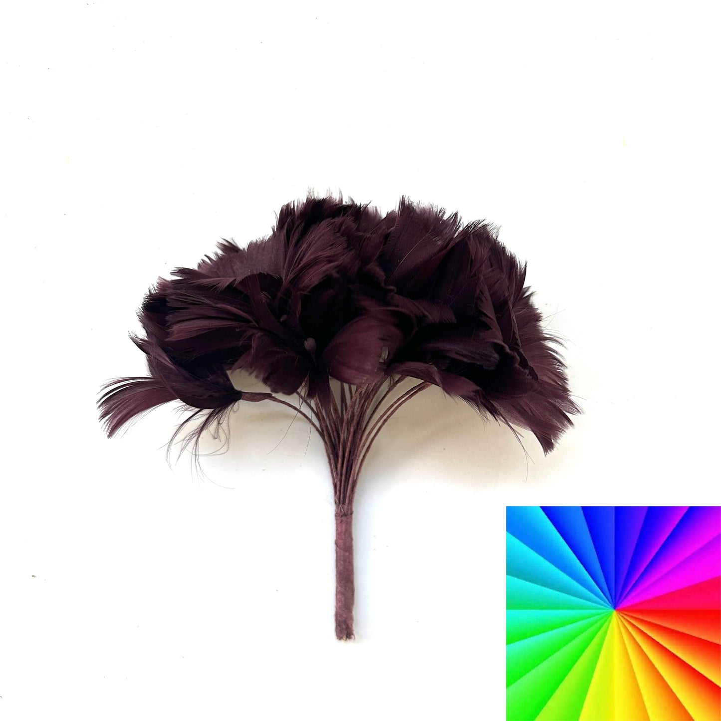 Goose Feather Bundle Mount DS260522