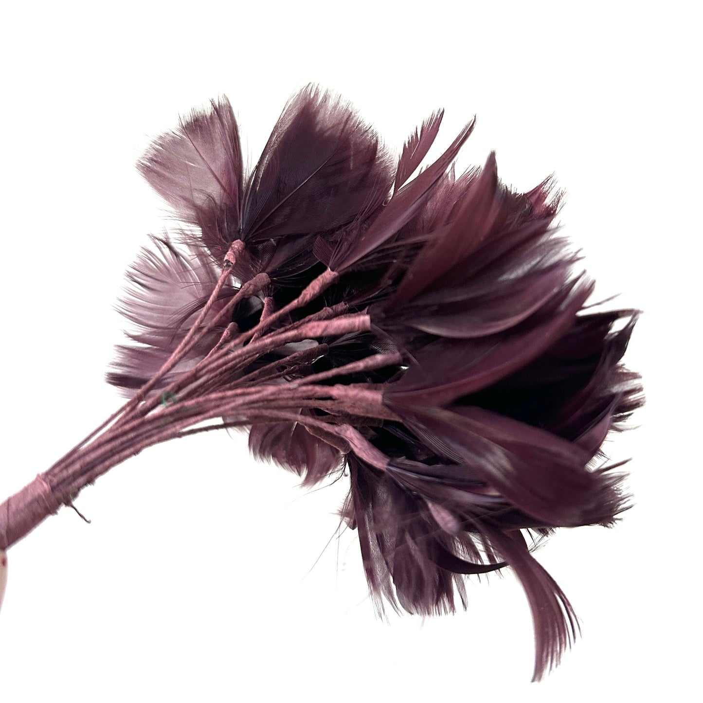 Goose Feather Bundle Mount DS260522