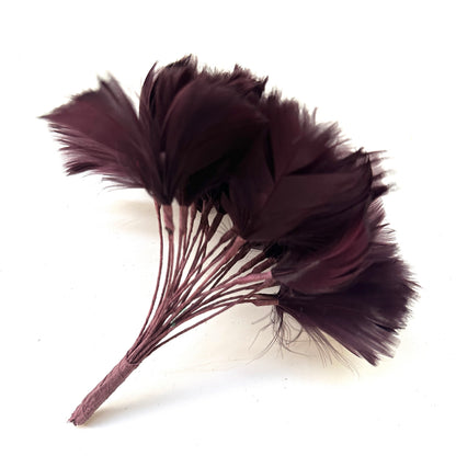 Goose Feather Bundle Mount DS260522
