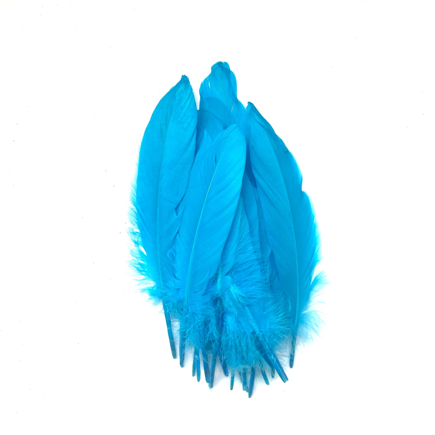 Hard Goose Feather-Pack of 50 SF005