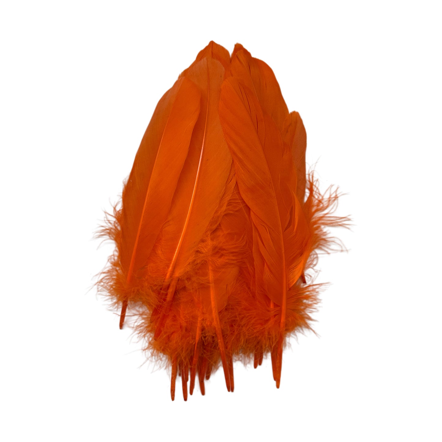 Hard Goose Feather-Pack of 50 SF005