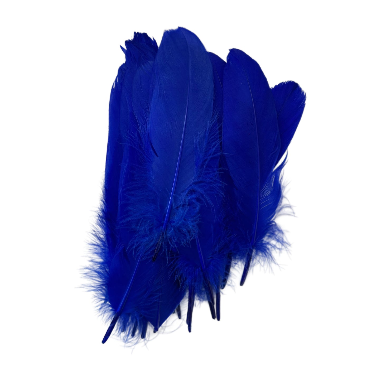 Hard Goose Feather-Pack of 50 SF005