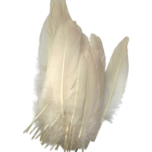 Hard Goose Feather-Pack of 50 SF005