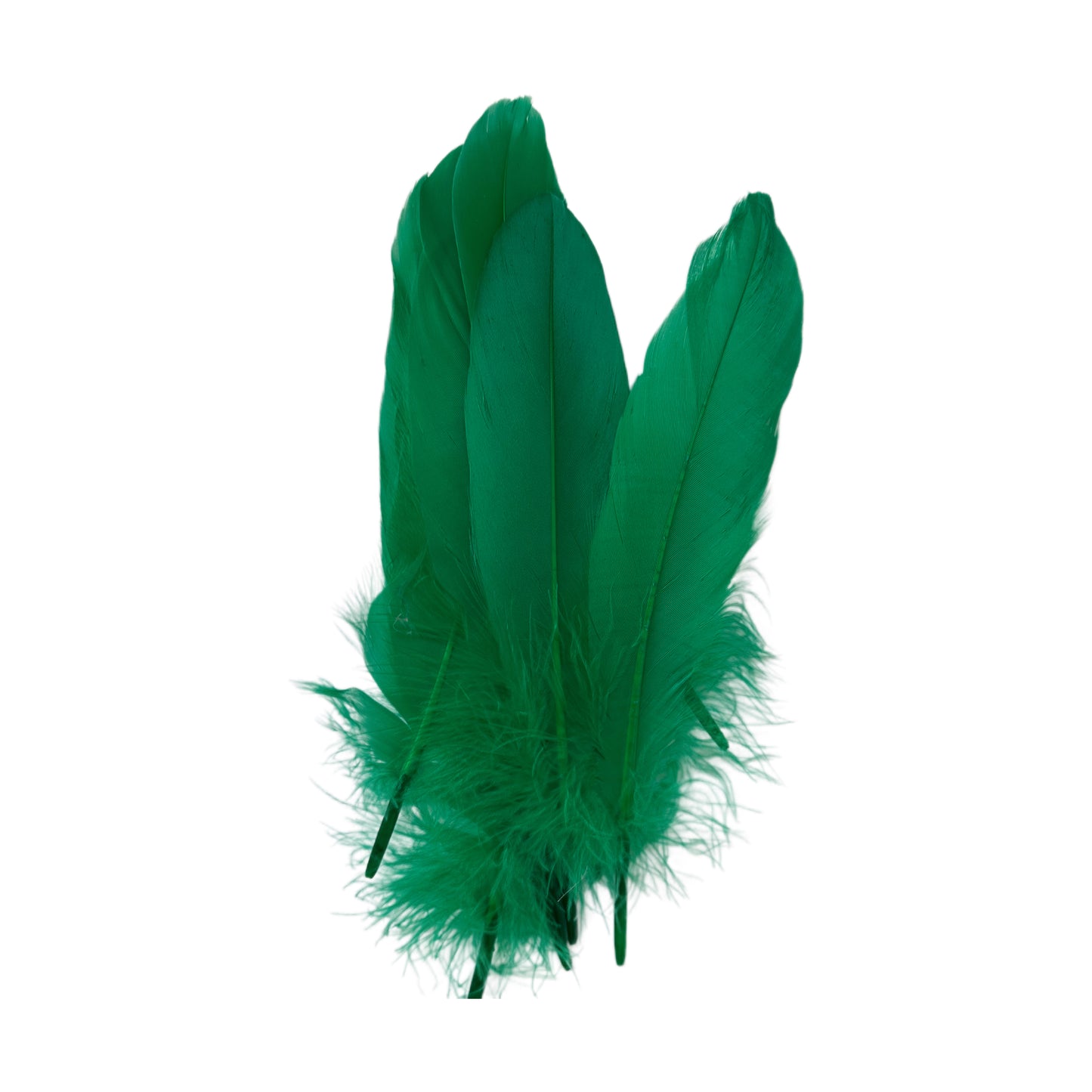 Hard Goose Feather-Pack of 50 SF005