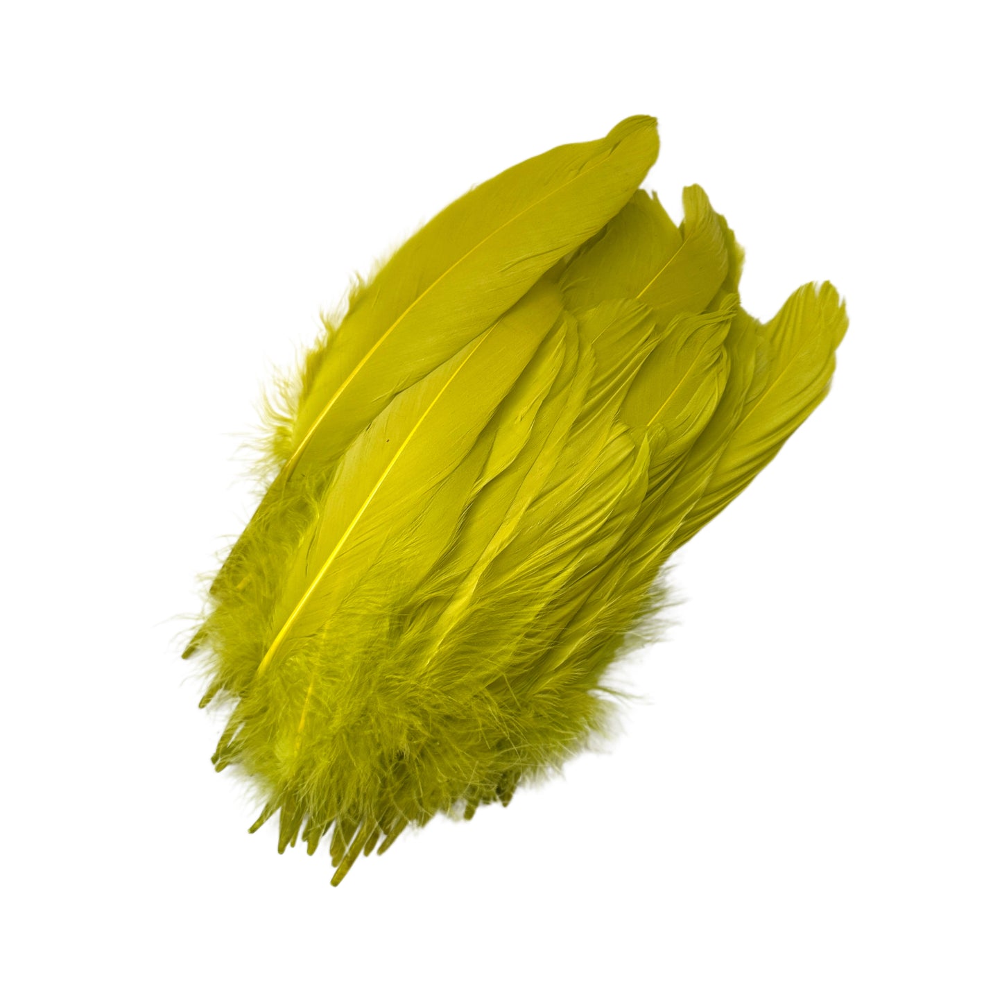 Hard Goose Feather-Pack of 50 SF005