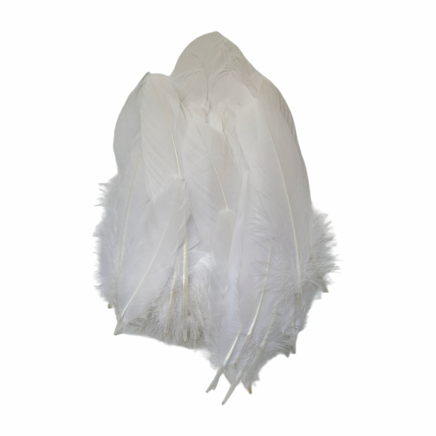 Hard Goose Feather-Pack of 50 SF005