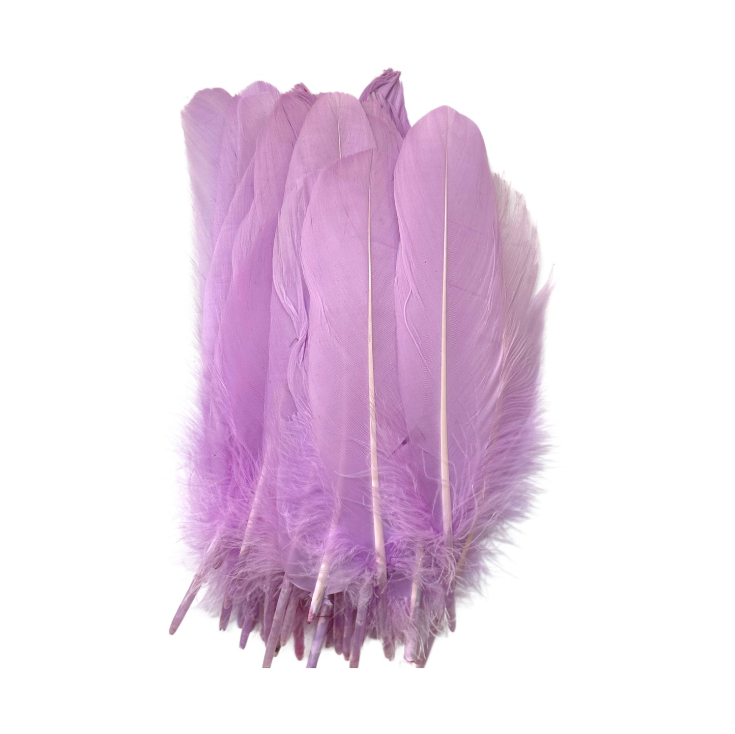 Hard Goose Feather-Pack of 50 SF005