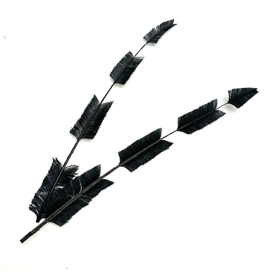 *sales* 30cm Black Four Arrow Cut Ostrich Feather - Pack of 2