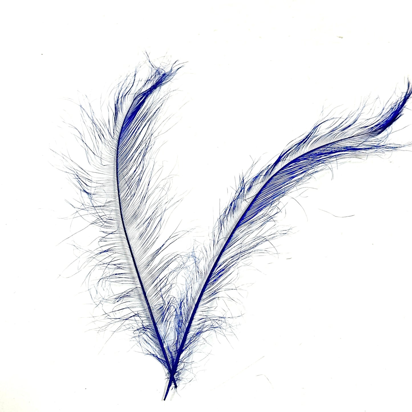 *sales* 30cm Burnt Ostrich Feather Plume