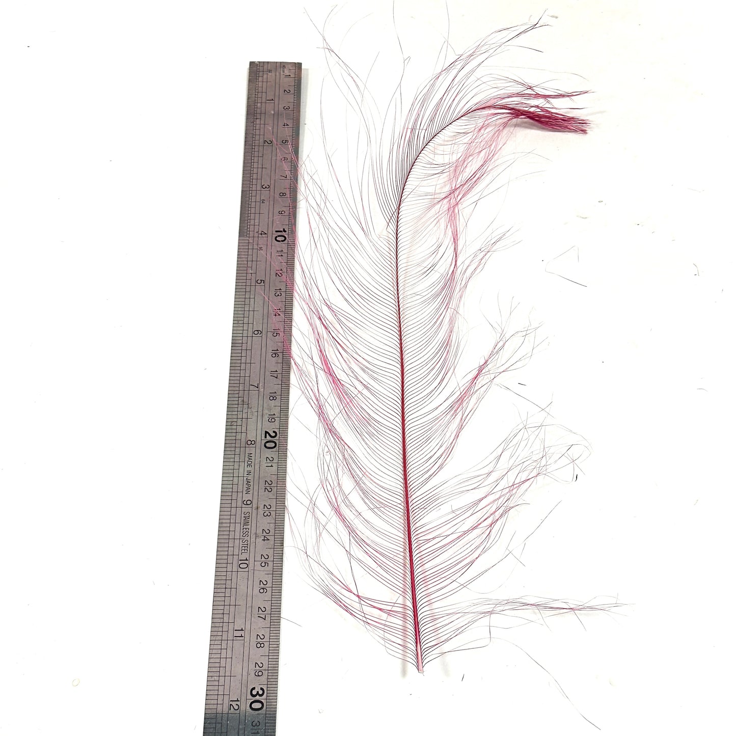 *sales* 30cm Burnt Ostrich Feather Plume