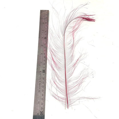 *sales* 30cm Burnt Ostrich Feather Plume