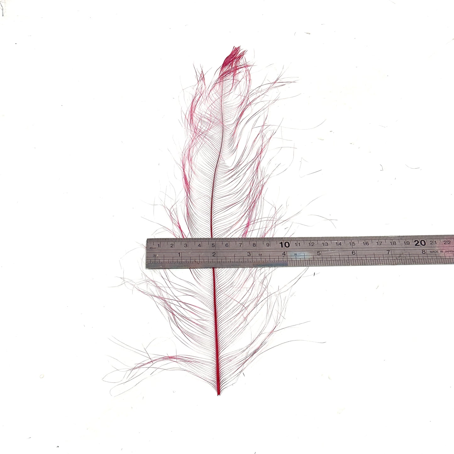 *sales* 30cm Burnt Ostrich Feather Plume