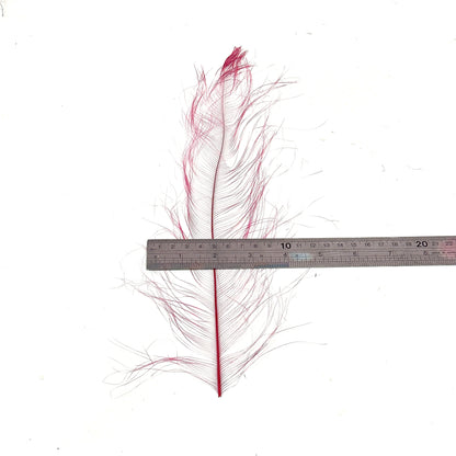 *sales* 30cm Burnt Ostrich Feather Plume