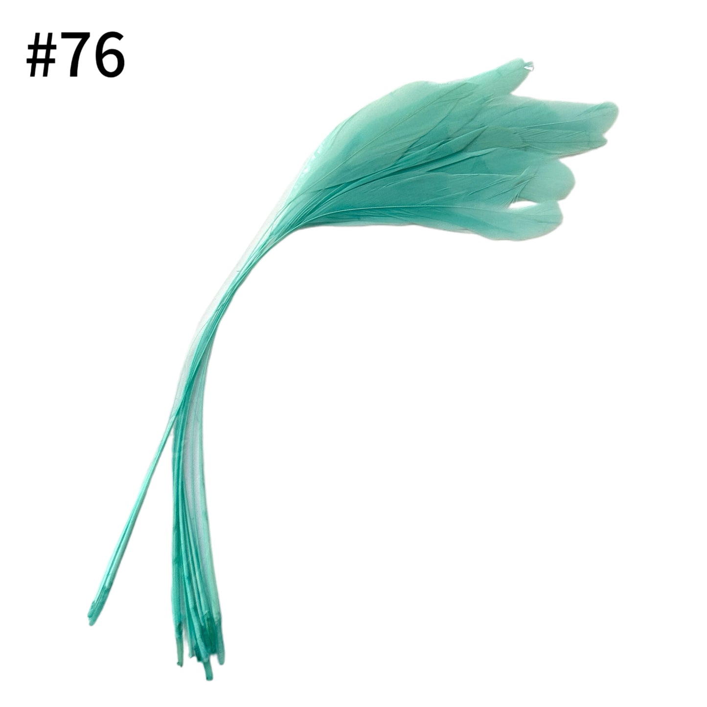25cm Stripped Coque Feathers - Pack of 10 SF005