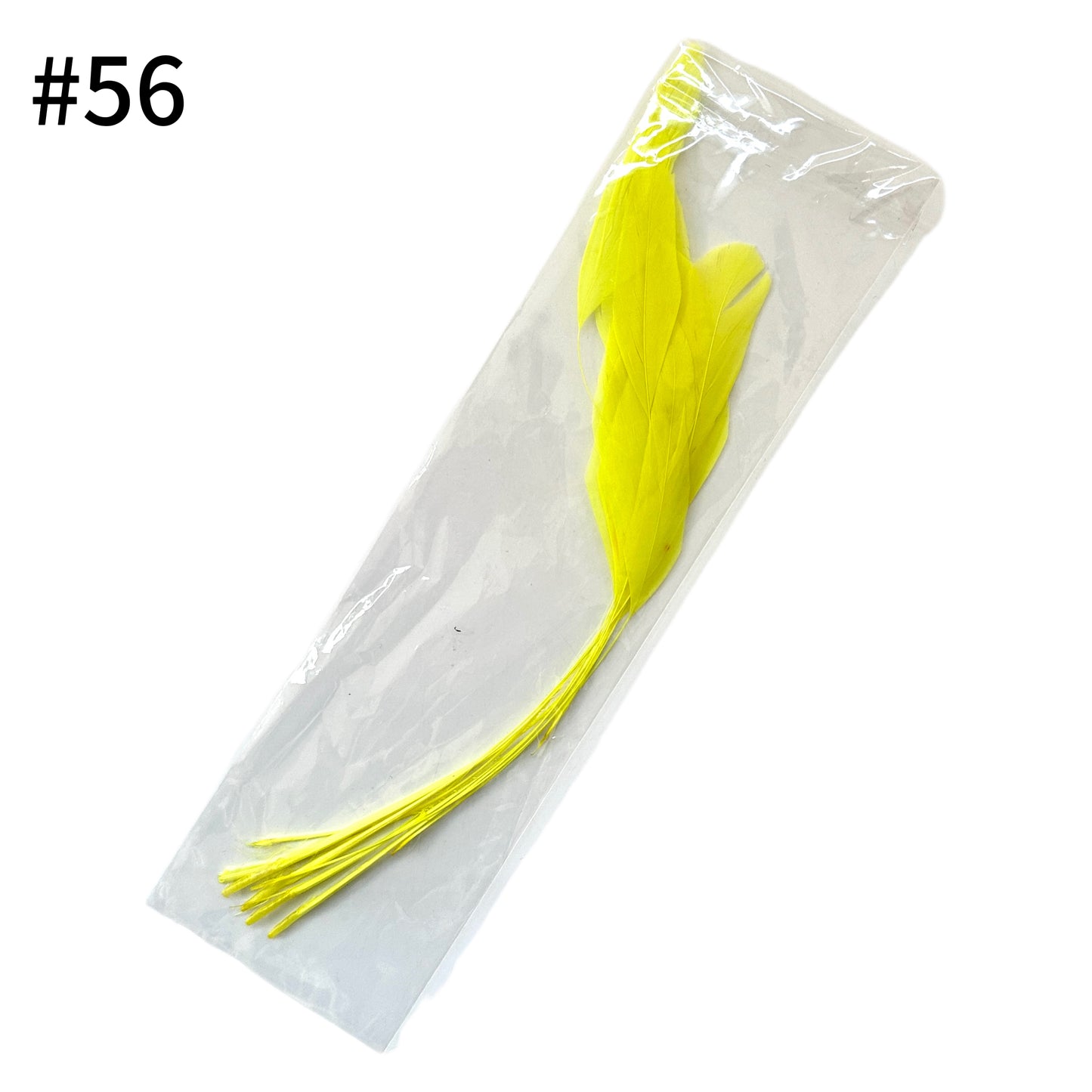 25cm Stripped Coque Feathers - Pack of 10 SF005