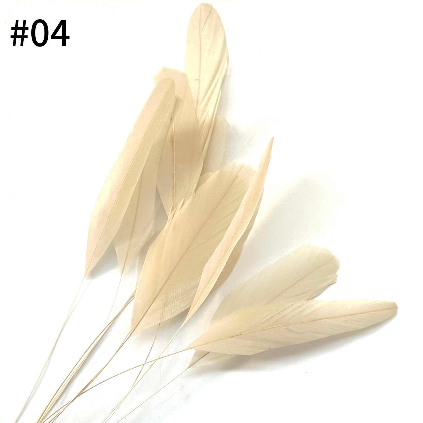 25cm Stripped Coque Feathers - Pack of 10 SF005
