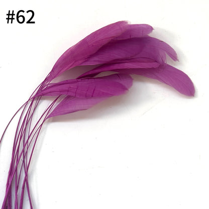 25cm Stripped Coque Feathers - Pack of 10 SF005