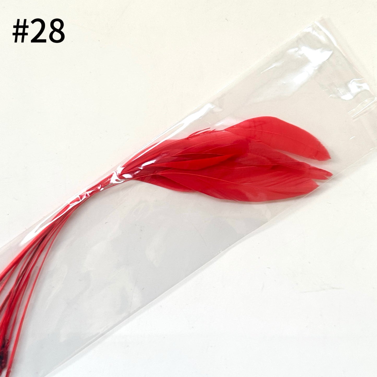 25cm Stripped Coque Feathers - Pack of 10 SF005