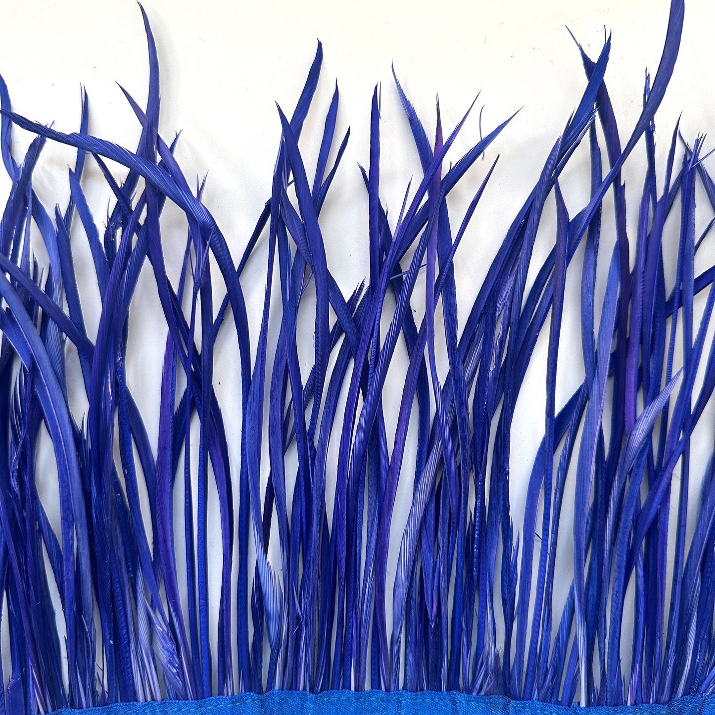 Goose Biot Feather Trim SF003