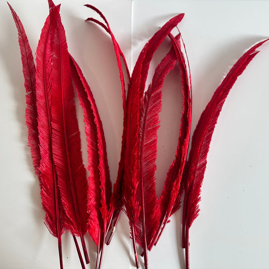 1 Piece-45 cm Red Trimmed Ostrich Nandu Feather