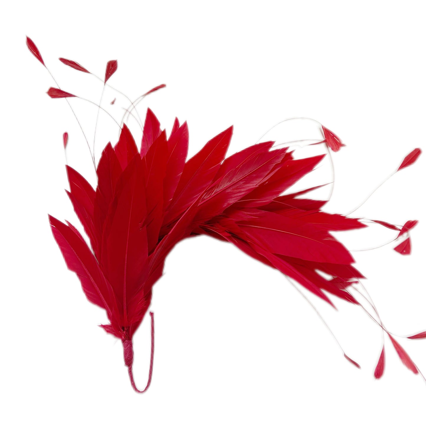 Goose and Coque Feather Mount FM304